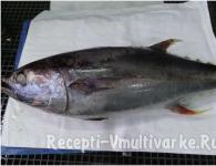 Рецепт приготовления вкусного тунца в мультиварке Тунец на пару в пароварке